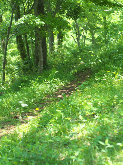M5045095s.jpg