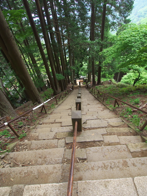 M5265589_02s.jpg