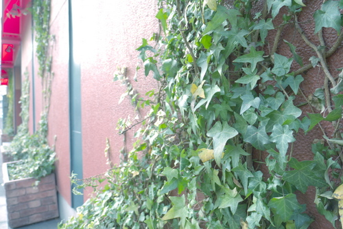 P1000490_1s.jpg