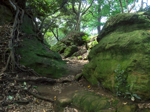 P1110263_01_s.jpg