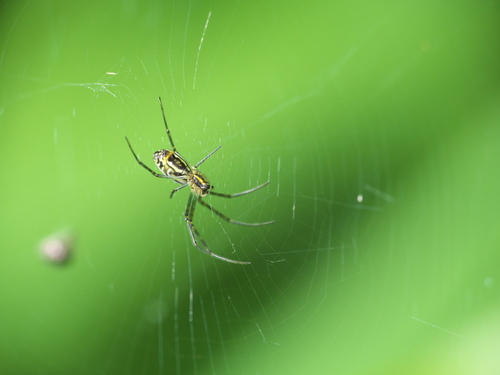 M6306029_01s.jpg