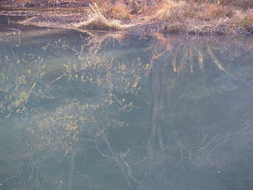 MC162708raw6_06s.jpg