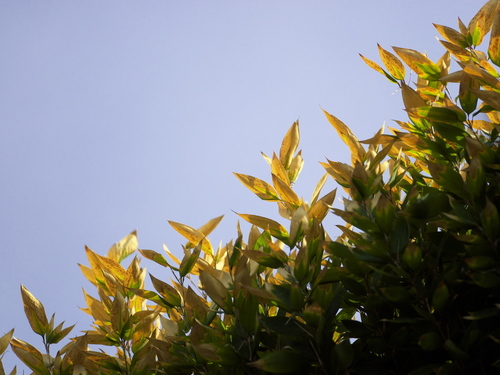 MSL03560_04_s.jpg