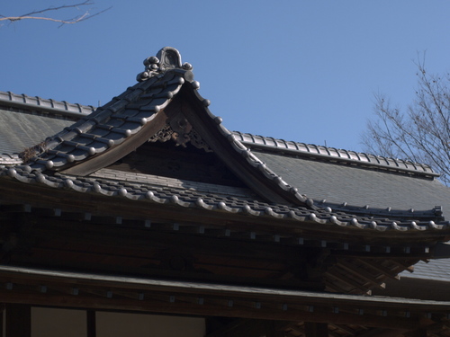 P1000108_1s.jpg