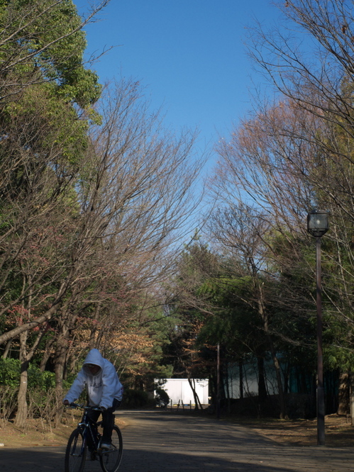 P1000116_1s.jpg