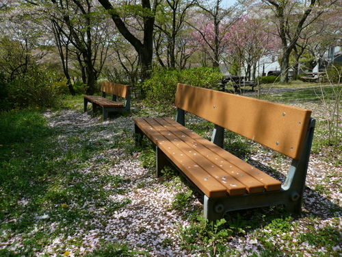 P1000599s.jpg