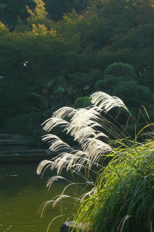 P1000678s.jpg