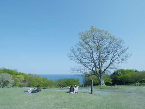 P1010156_1s.jpg