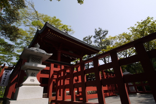 P1010213s.jpg