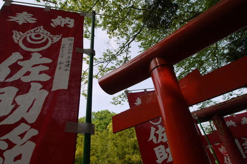 P1010232s.jpg
