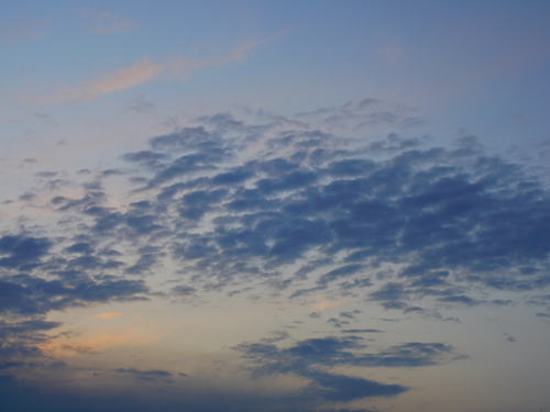 P1010509s.jpg