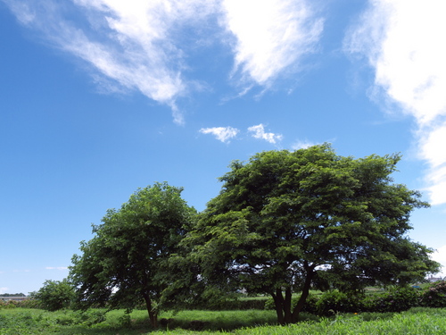 P1010717raws.jpg