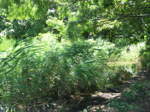 P1010749raws.jpg