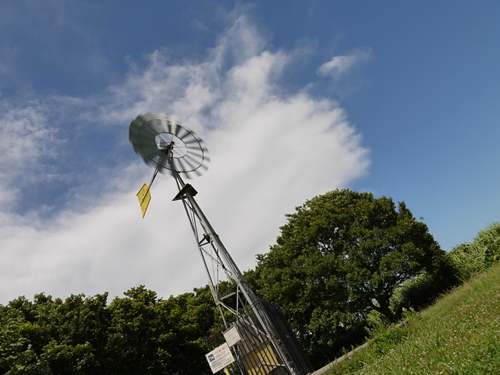 P1010766s.jpg