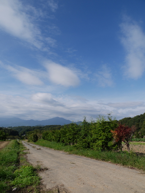 P1020465s.jpg