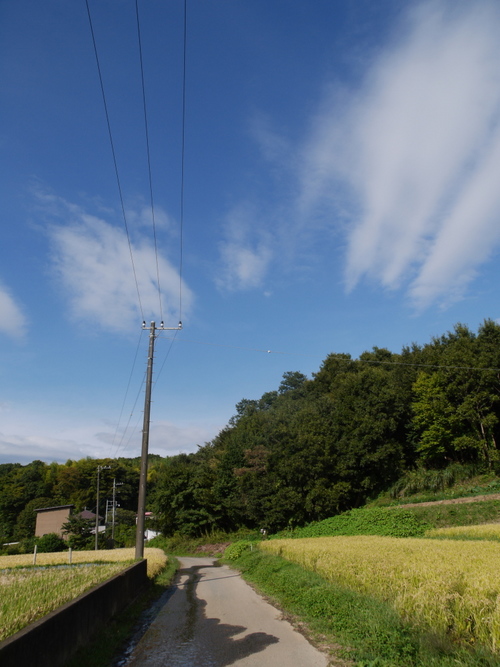 P1020466s.jpg