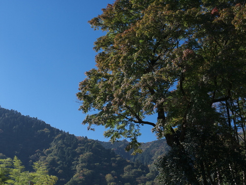 P1020566s.jpg
