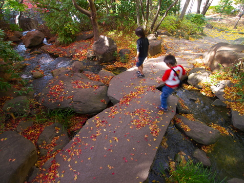 P1030412s.jpg