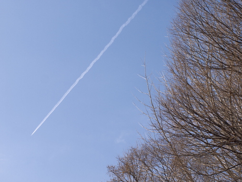 P1040319s.jpg