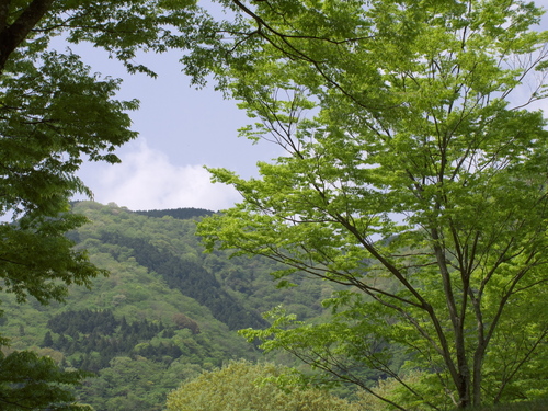 P1040581s.jpg
