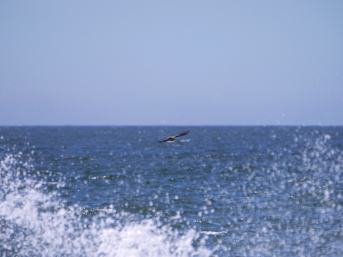 P1040858-j2s.jpg