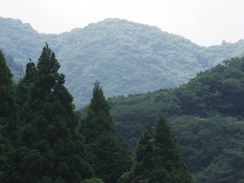 P1050475s.jpg