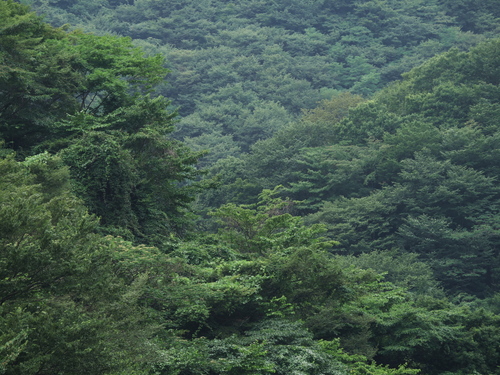 P1050476s.jpg