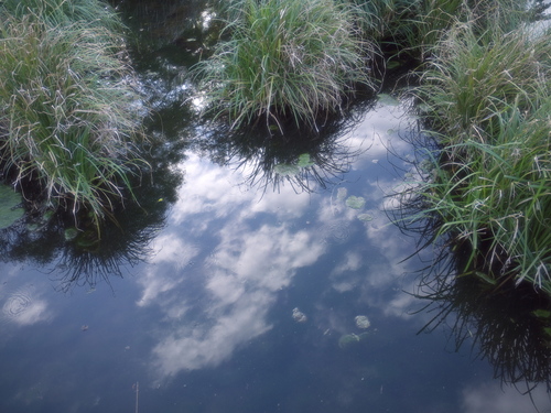 P1070392s.jpg