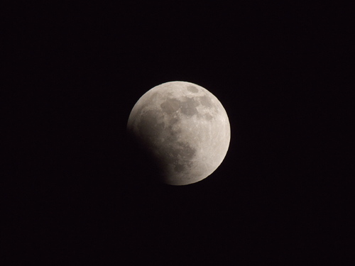 P1070818s.jpg