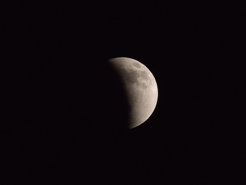 P1070846s.jpg