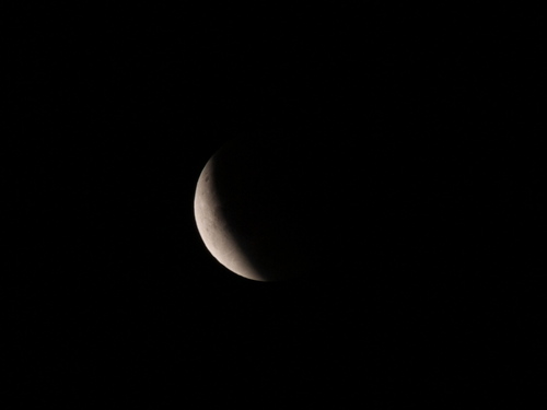 P1070947s.jpg