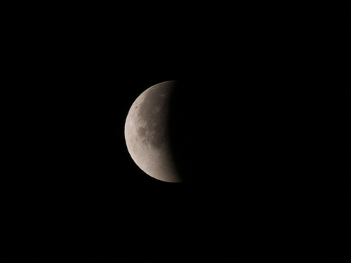 P1070974s.jpg