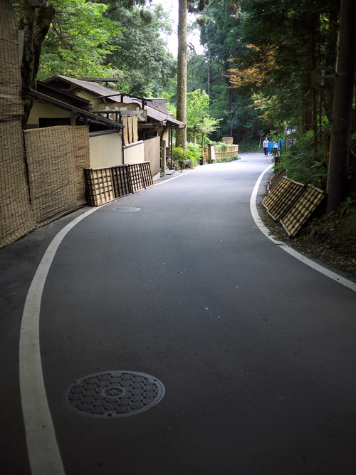 P1090737_s.jpg