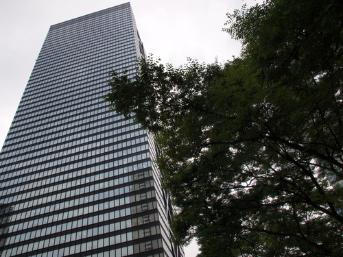P6187868s.jpg
