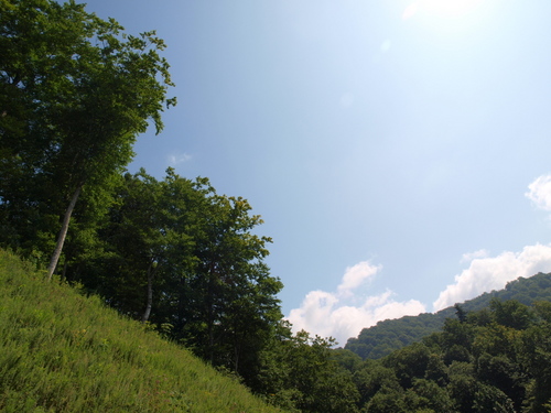P8170648s.jpg