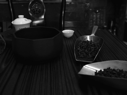 P9211231s.jpg