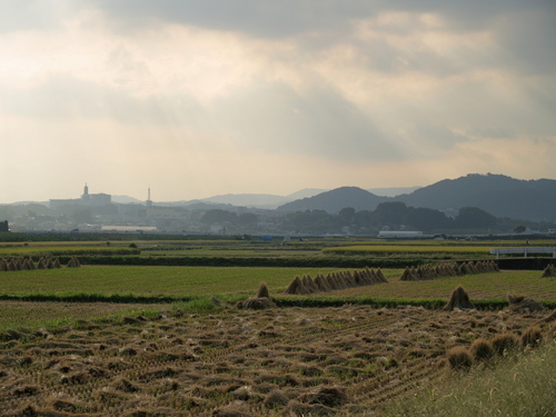 PA010141_018s.jpg