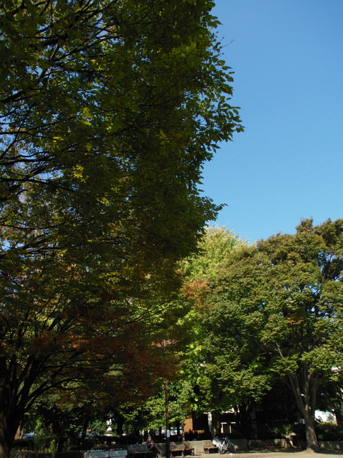 PA180178_006s.jpg
