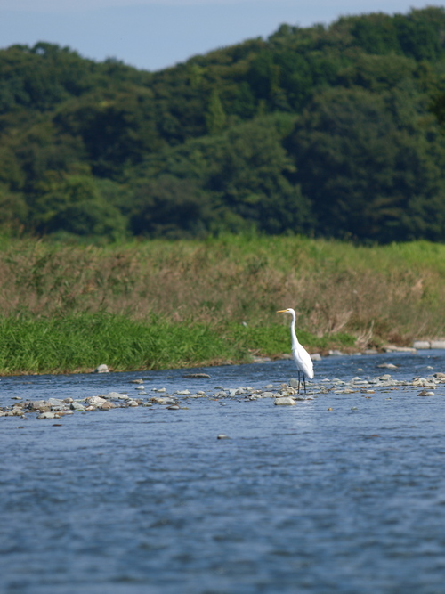 Q2030742raw2s.jpg