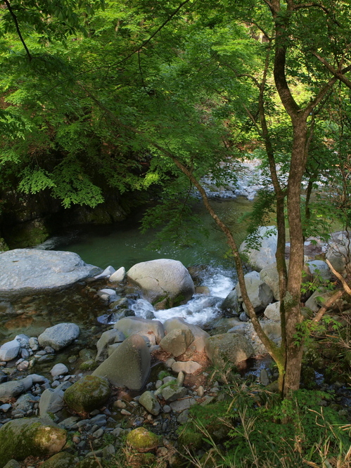 Q2099770sto.jpg