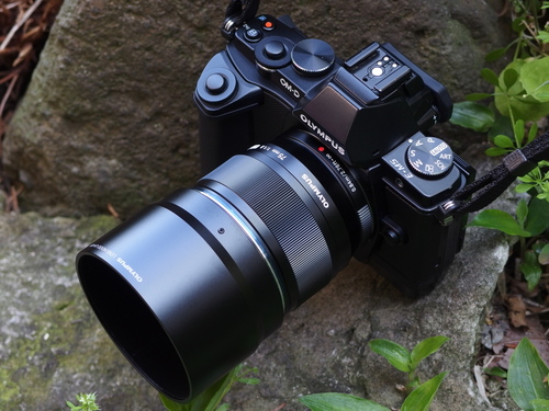 XZ263002s.jpg